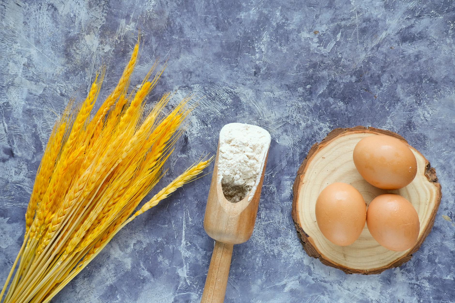 Gebackene Protein-Zitronen-Hafer-Schnitten