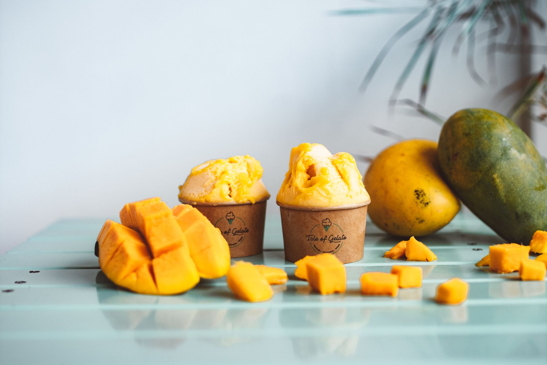 Himbeer-Protein-Softeis