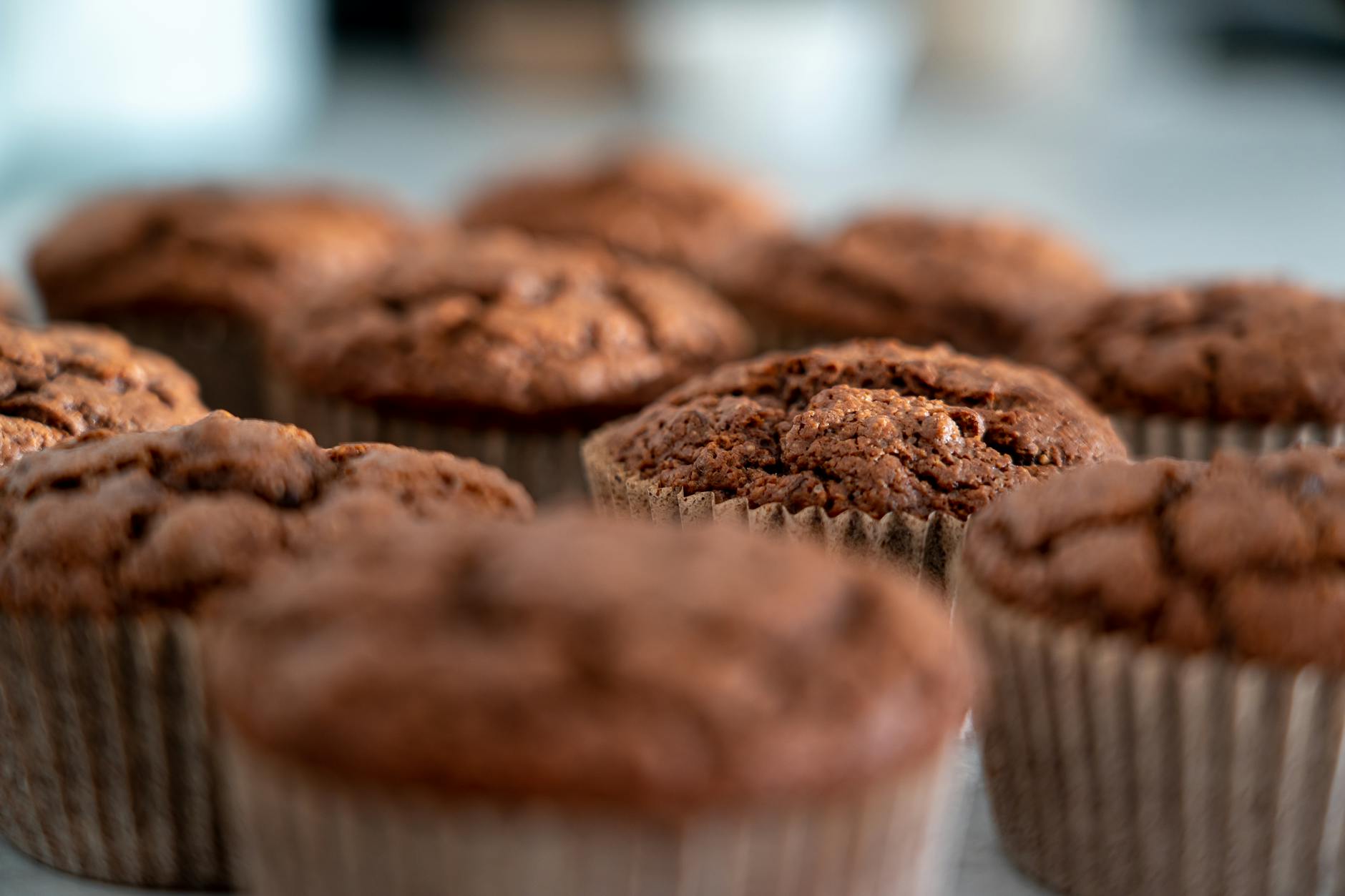 Low Carb Lachs-Spinat-Muffins mit Kurkuma