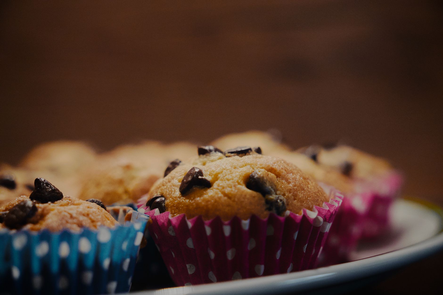 Protein-Blaubeer-Hafer-Muffins