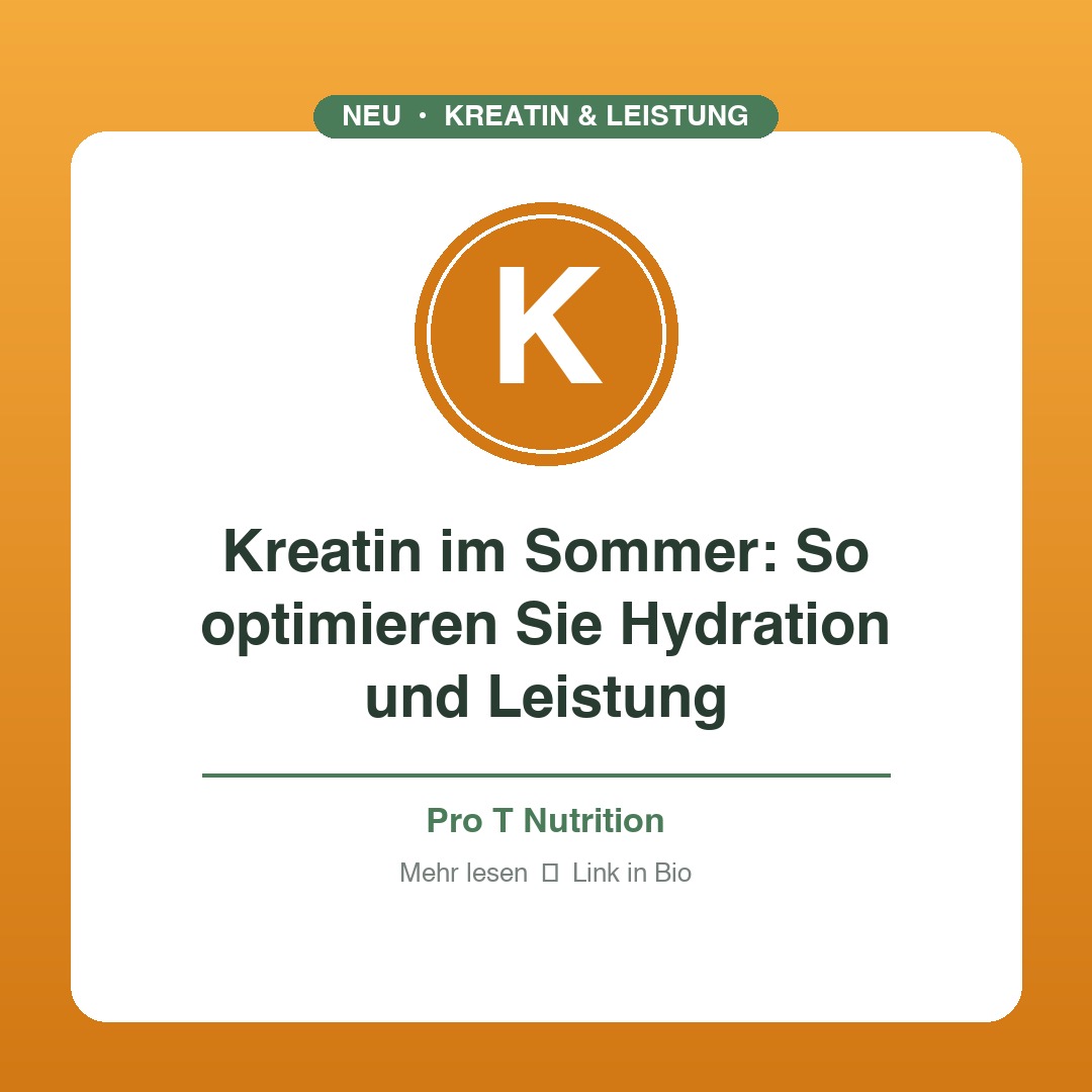 Kreatin im Sommer – Hydration und Wirkung!