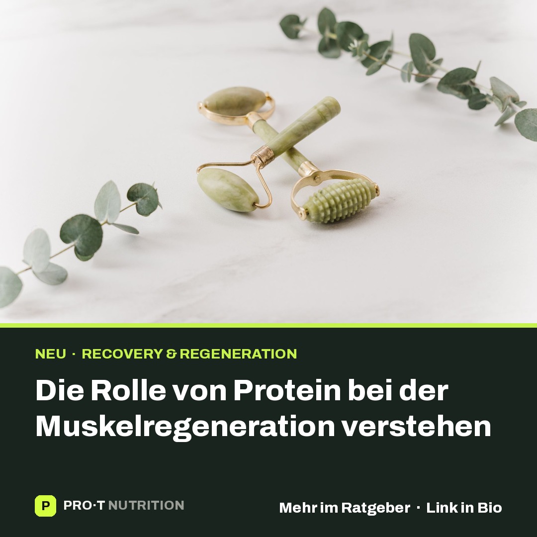 Protein: Baustein für Regeneration und Muskeln