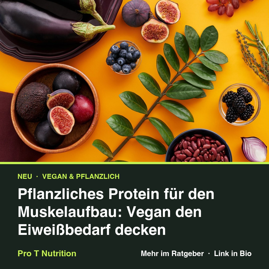 Pflanzliches Protein für den Muskelaufbau: Vegan den Eiweißbedarf decken