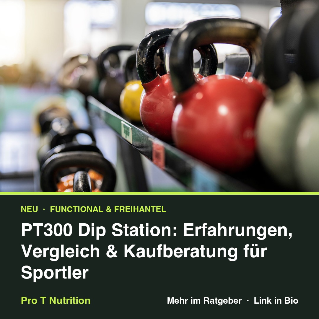 PT300 Dip Station: Erfahrungen, Vergleich & Kaufberatung für Sportler