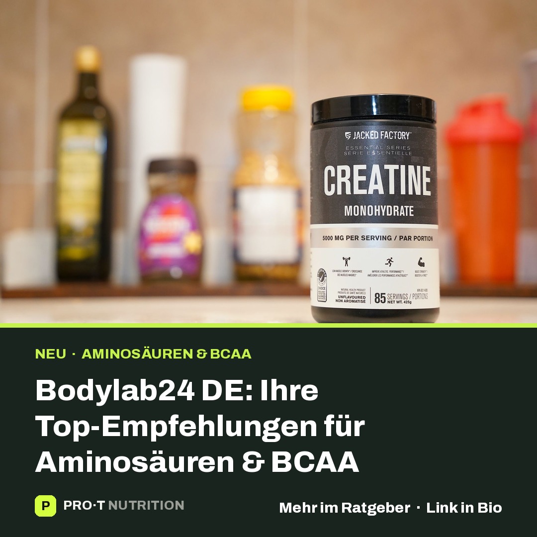 Bodylab24 DE: Ihre Top-Empfehlungen für Aminosäuren & BCAA