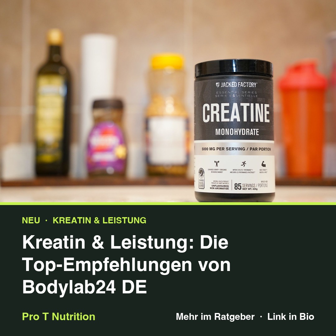 Kreatin & Leistung: Die Top-Empfehlungen von Bodylab24 DE