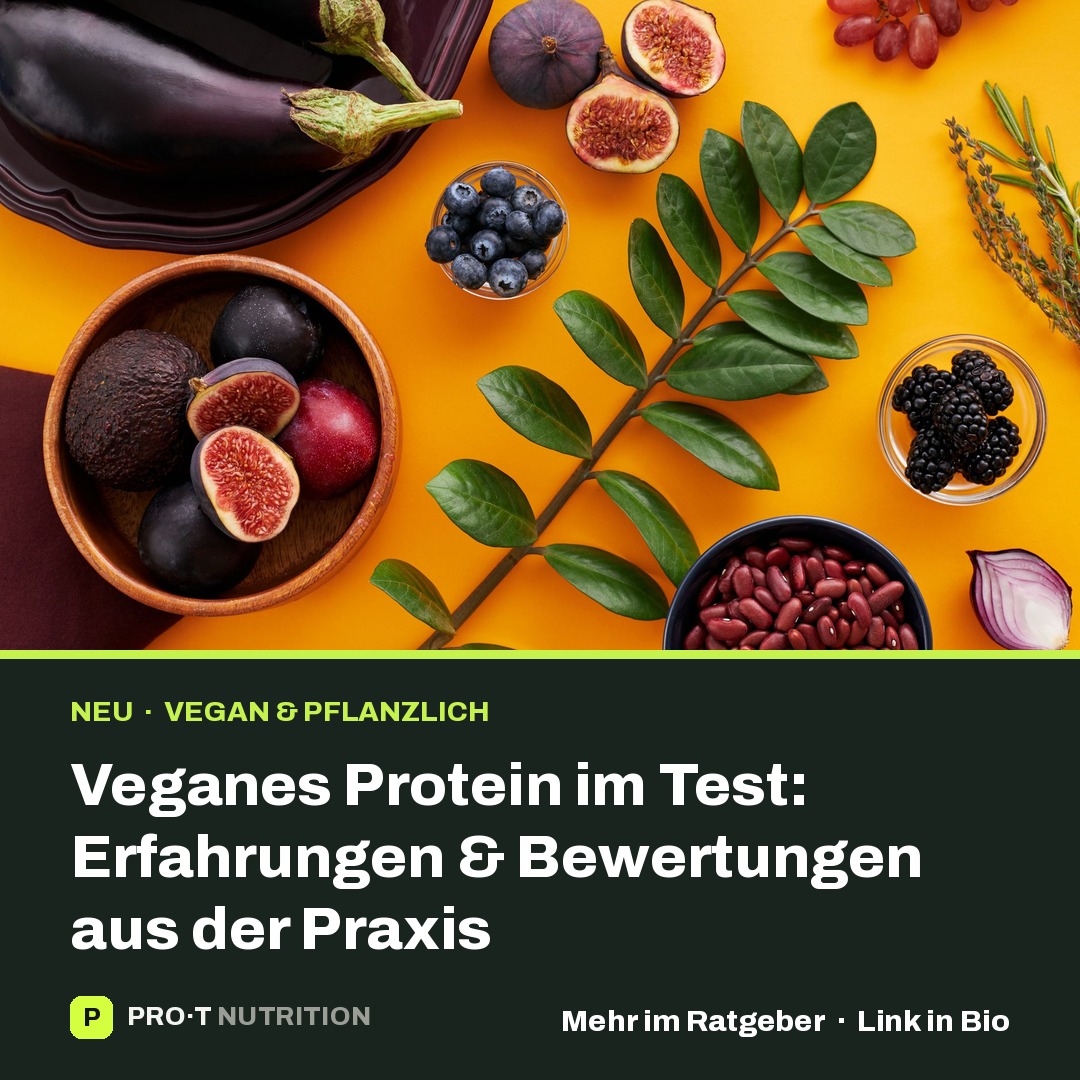 Veganes Protein im Test: Erfahrungen & Bewertungen aus der Praxis
