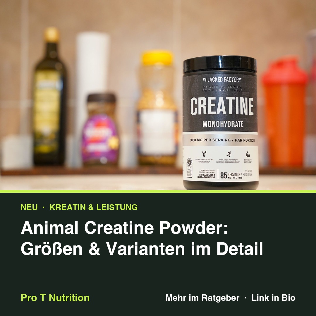 Animal Creatine Powder: Sizes & Variants in Detail