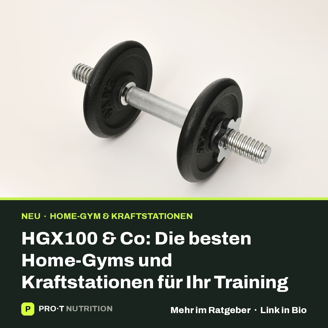 HGX100 & Co: The Best Home Gyms and Strength Stations for Your Workout